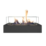 Xaralyn bio-ethanol brander S 2